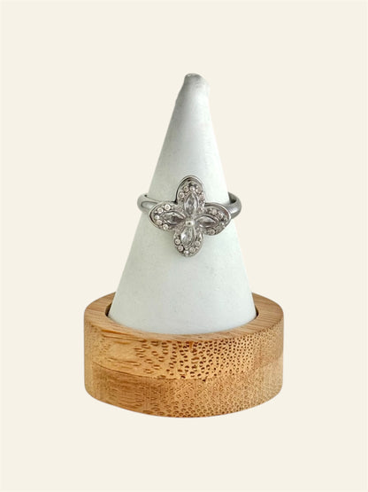 Bague SPINNY acier inox (anti-stress)