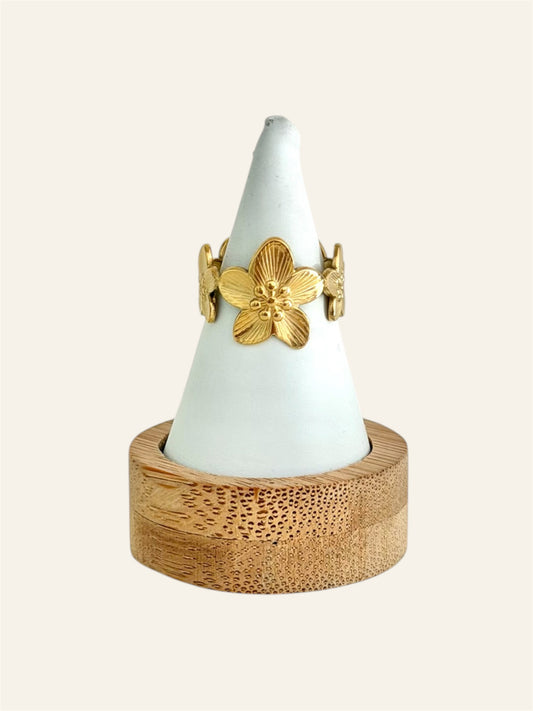 Bague ANAYA acier inox