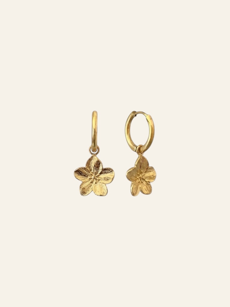Boucles d’oreilles LYS